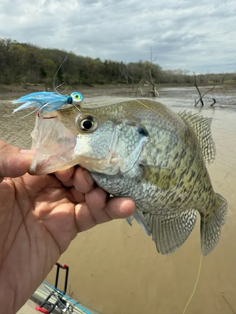 Fishing in Saint Charles, Missouri