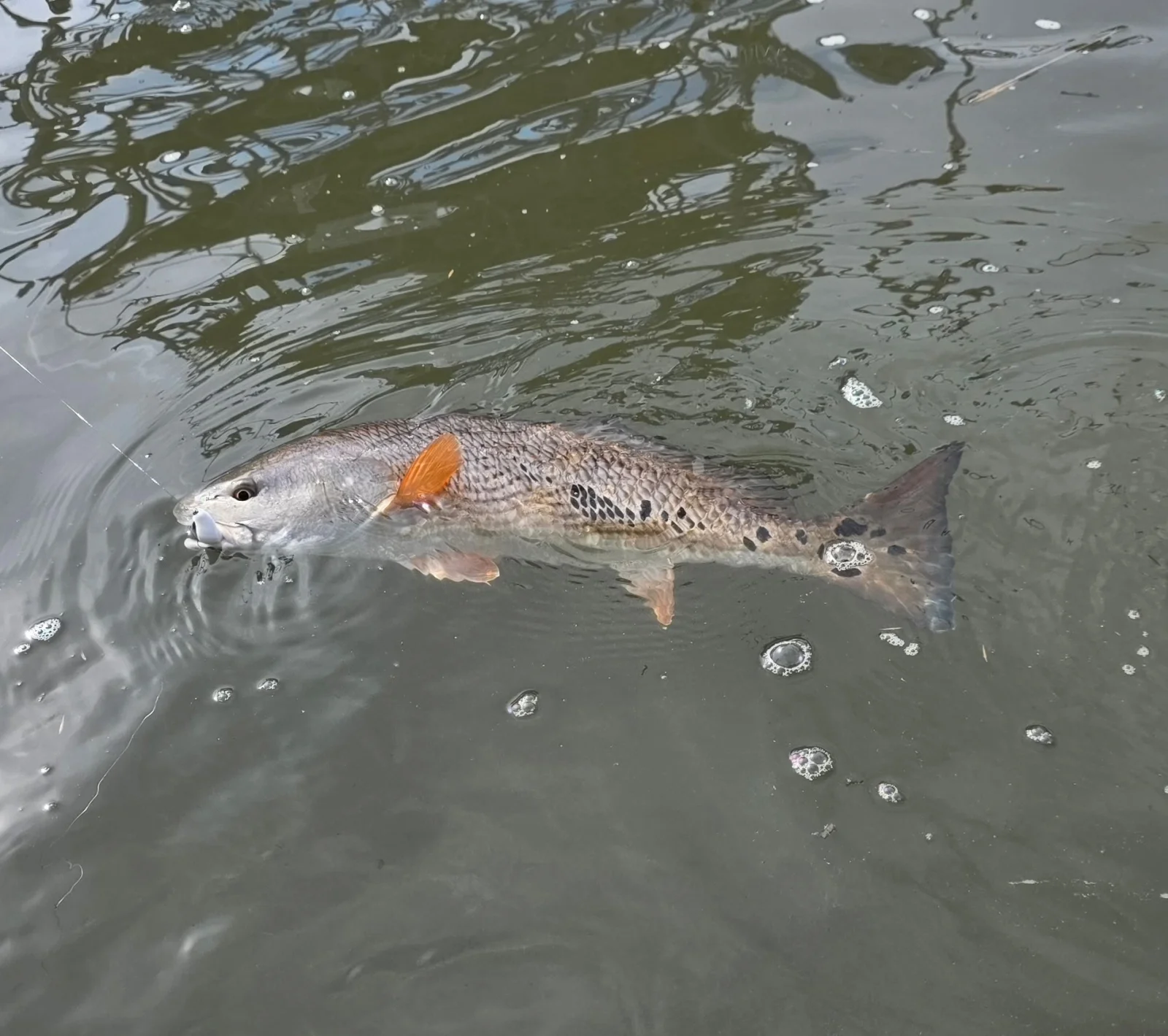 Fishing in North Charleston, South Carolina