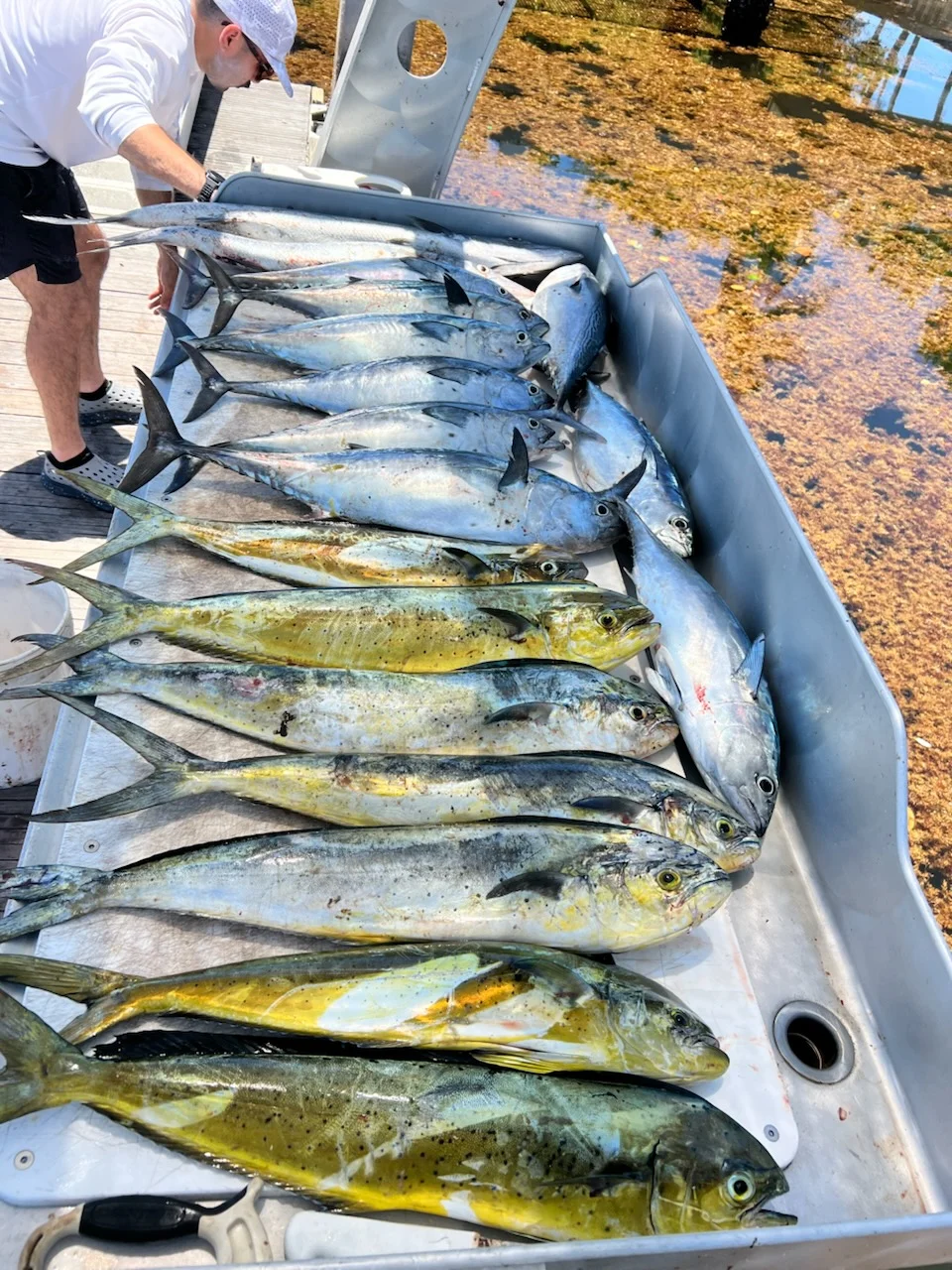 Fishing in Lantana, Florida