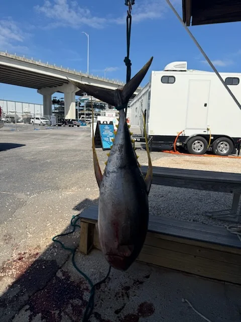 Fishing in Pensacola, Florida