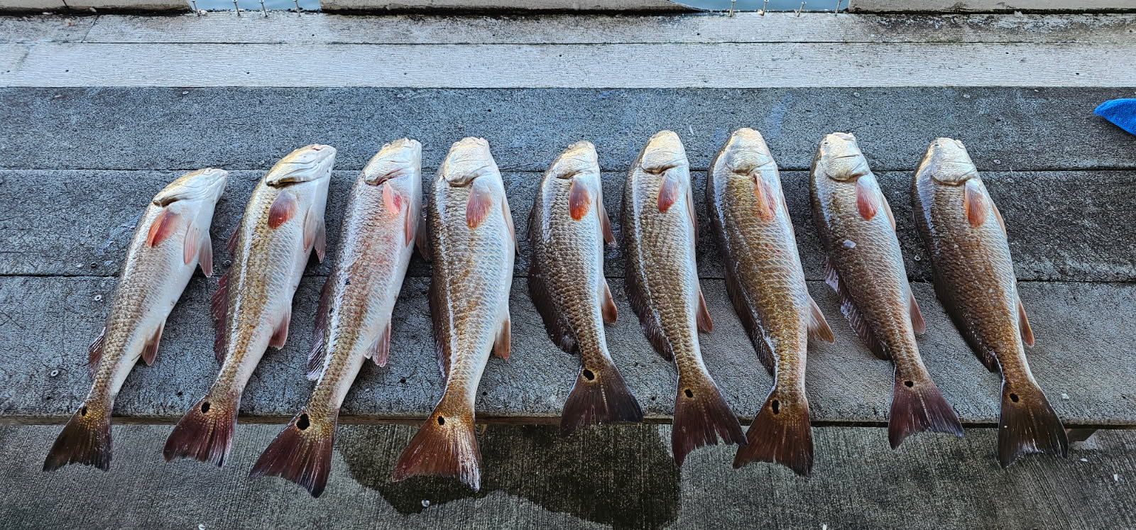 Fishing in Port Aransas, Texas