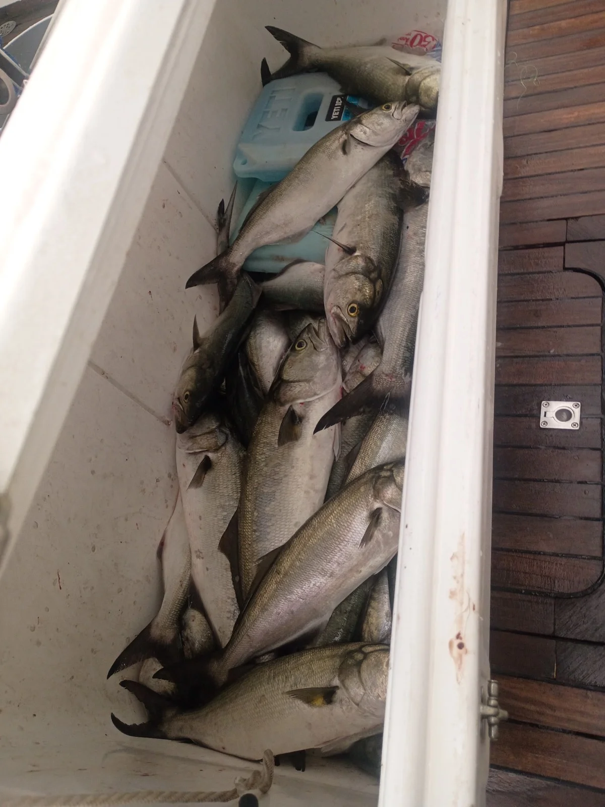 Fishing in Norfolk, Virginia