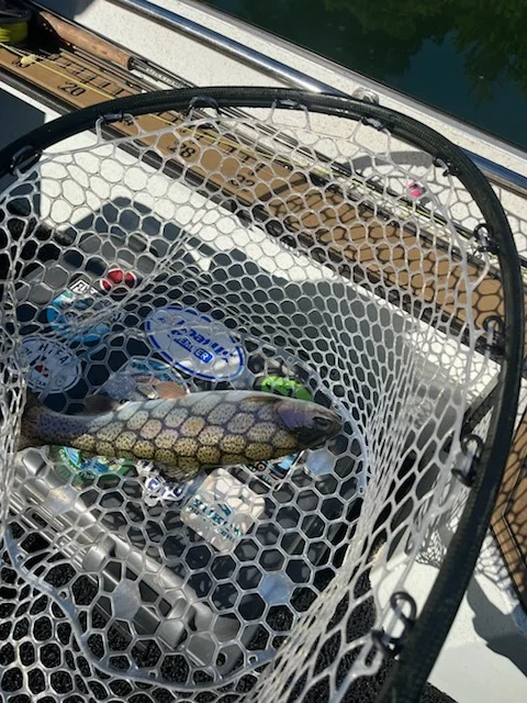 Fishing in Heber Springs, Arkansas