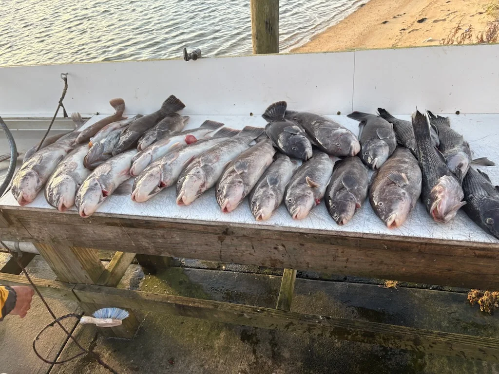 Fishing in Montauk, New York