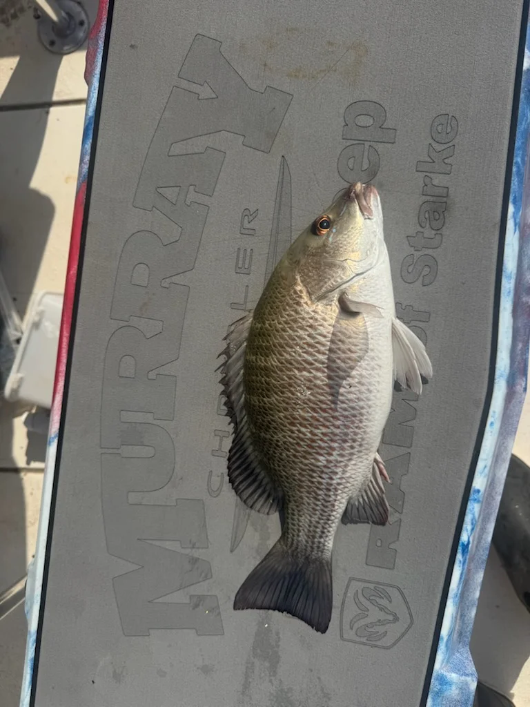 Fishing in Jacksonville, Florida