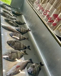 Fishing in D'Iberville, Mississippi