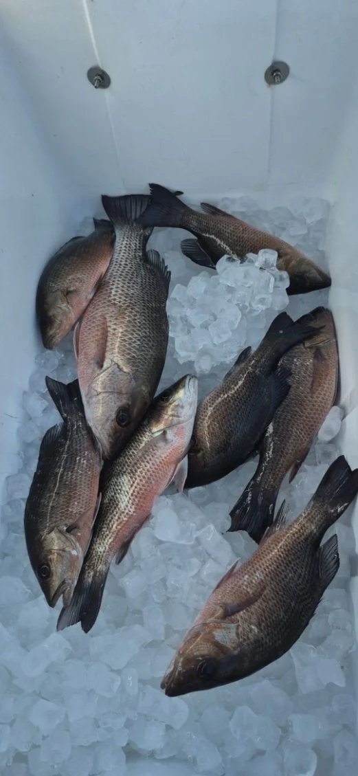 Fishing in Vero Beach, Florida