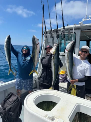 Fishing in Marina del Rey, California