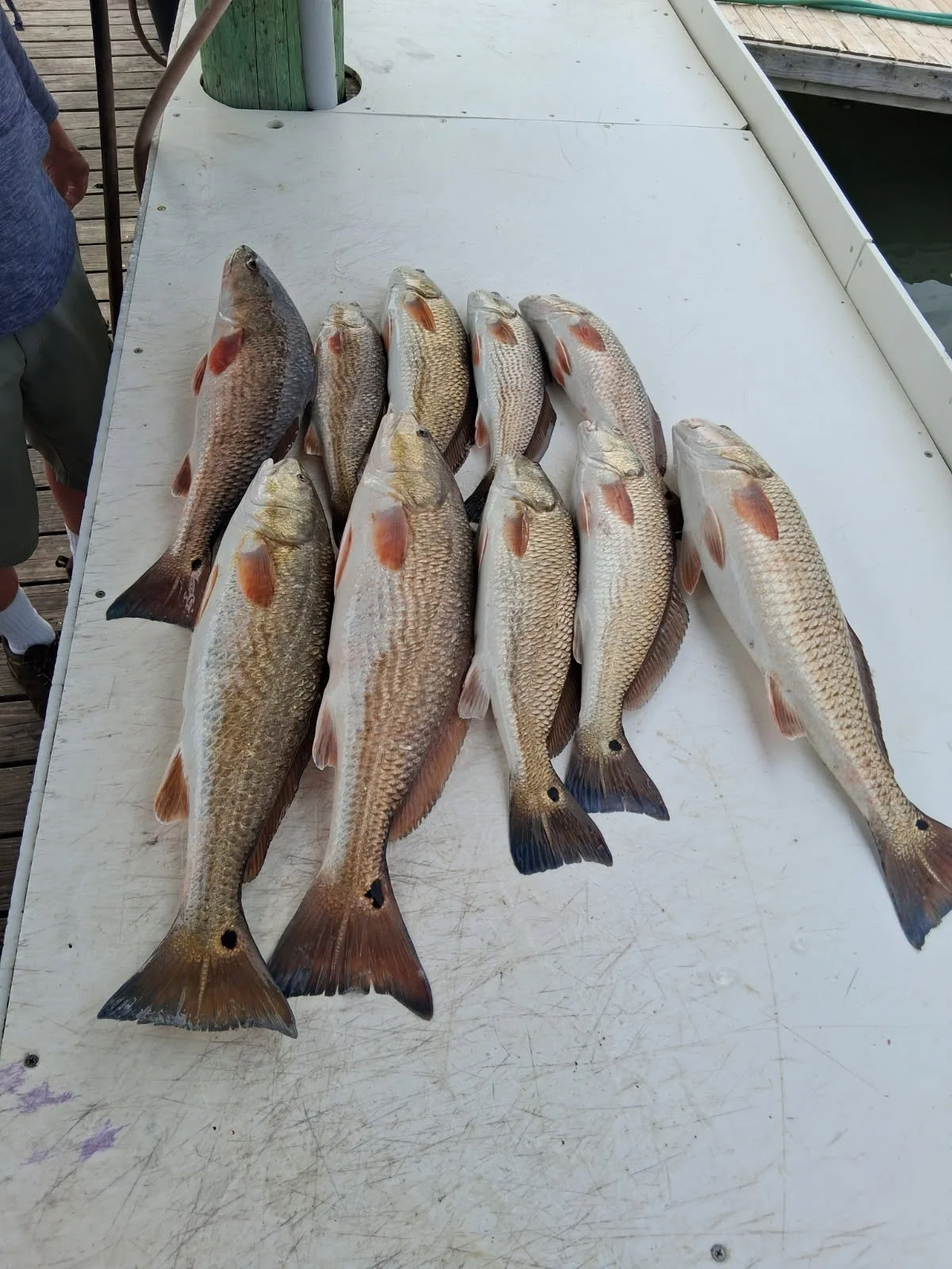 Fishing in Gulf Shores, Alabama