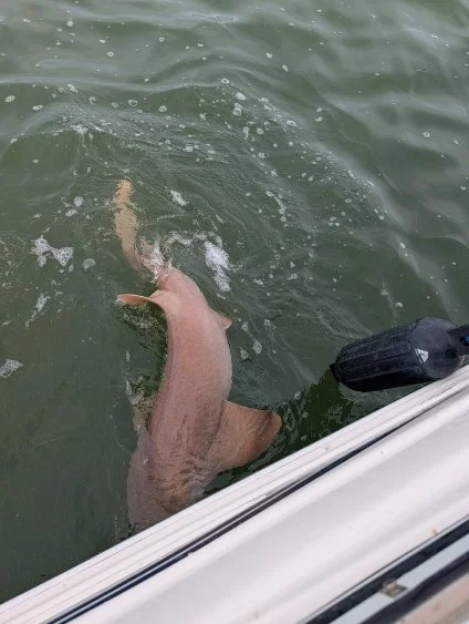 Fishing in Fort Myers Beach, Florida