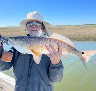 Sheepshead Fishing in Galveston, Texas