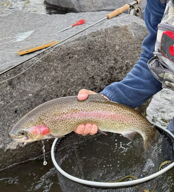 Fishing in Hume, California