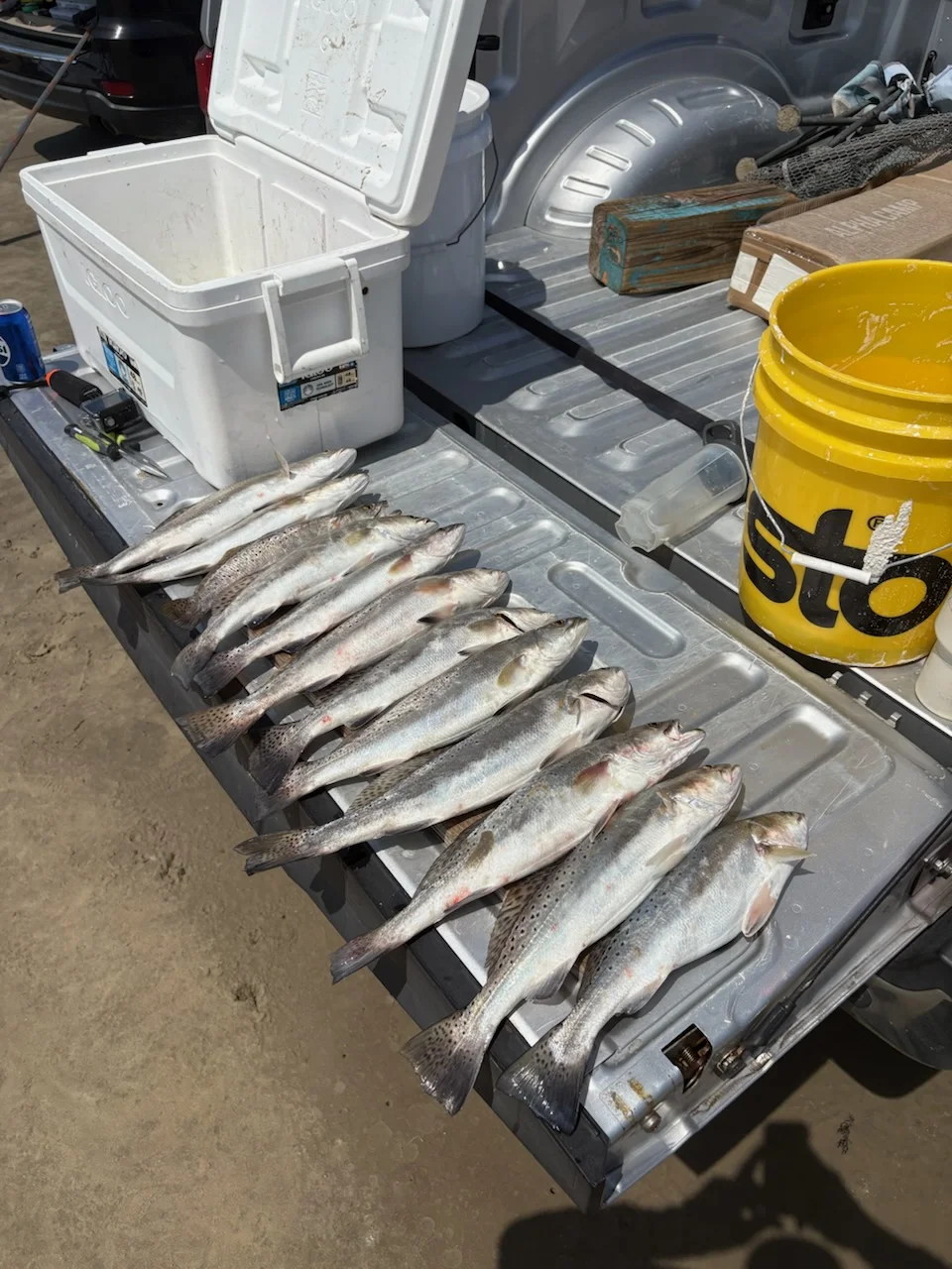 Fishing in Texas City, Texas