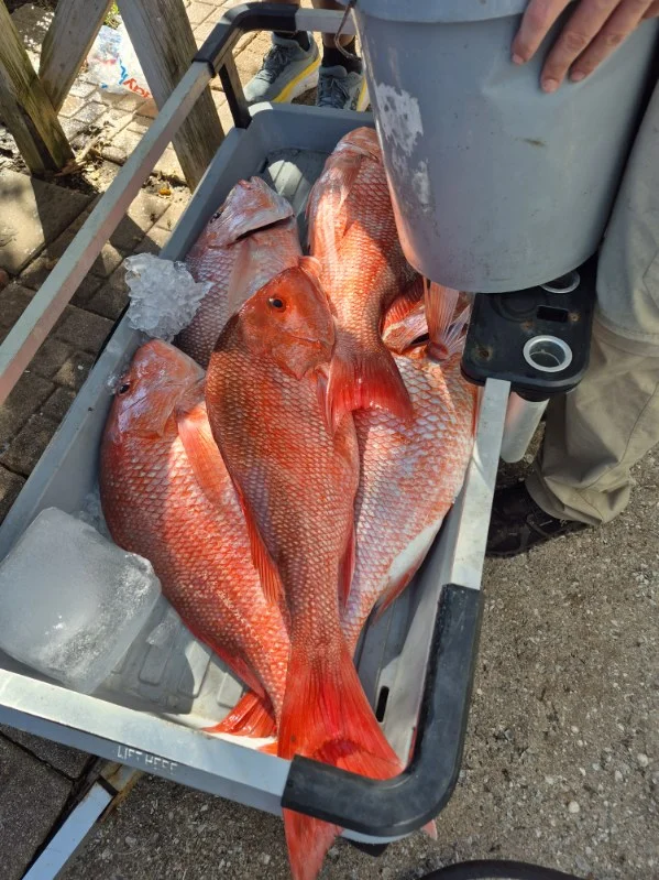 Fishing in Fernandina Beach, Florida