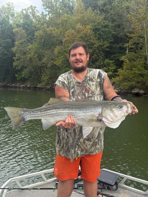 Fishing in Mt. Juliet, Tennessee