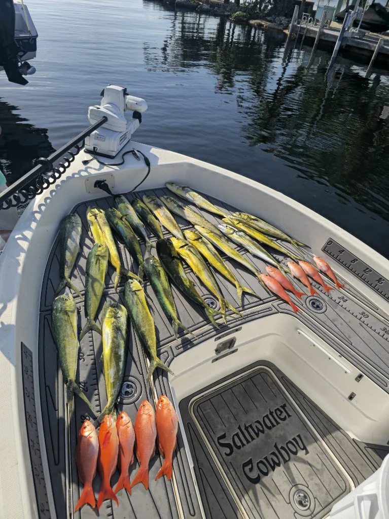 Fishing in Key Largo, Florida