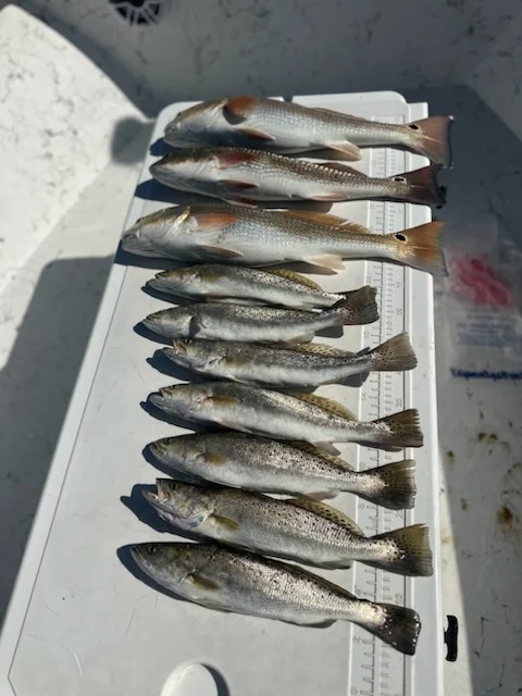 Fishing in Apalachicola, Florida