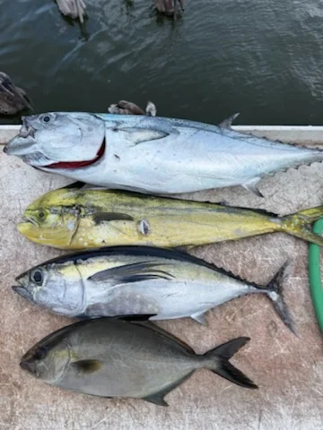Fishing in Stuart, Florida