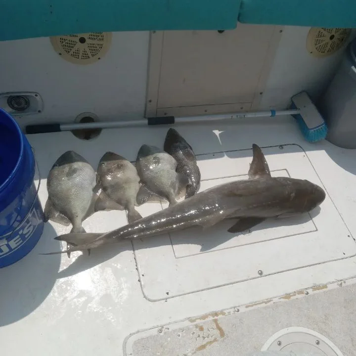 Red Snapper Fishing in St. Marys, Georgia