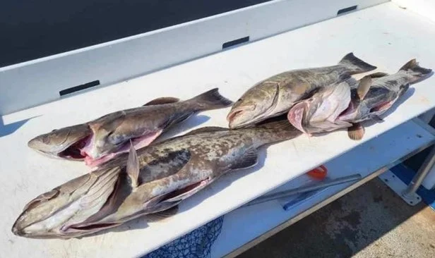Flounder fishing in Little River, South Carolina