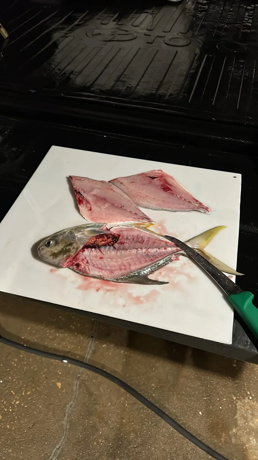 Fishing in Niceville, Florida