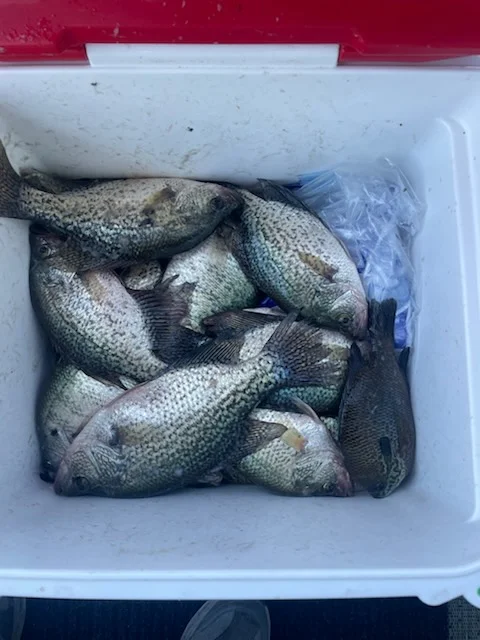 Fishing in Willis, Texas
