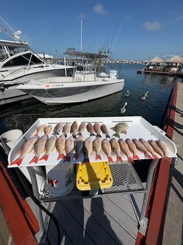 Fishing in Key West, Florida