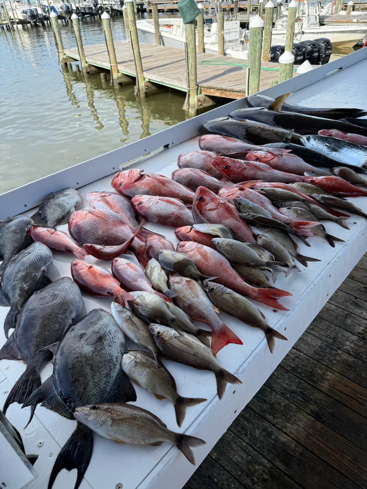 Fishing in Gulf Shores, Alabama