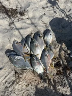 Fishing in Panama City Beach, Florida