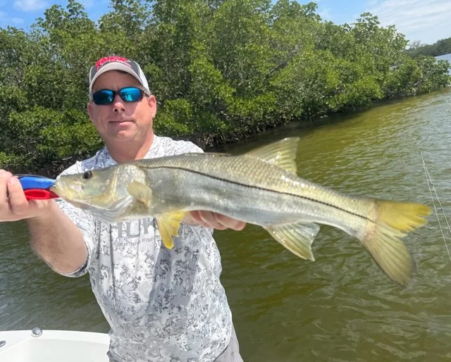 Snook Fishing in St. Petersburg, Florida