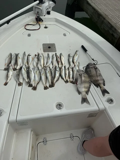 Fishing in Gulf Shores, Alabama