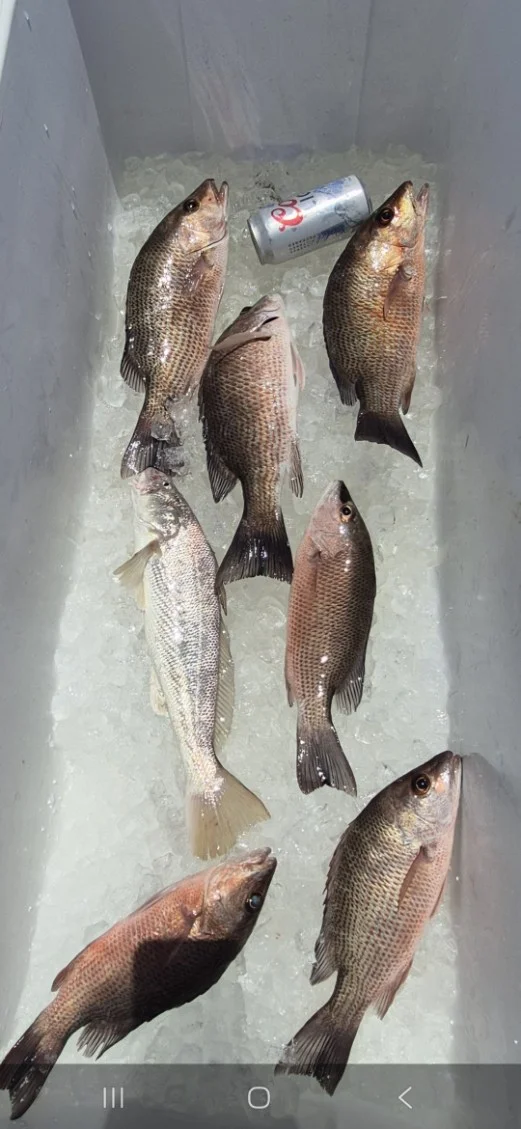Fishing in Vero Beach, Florida