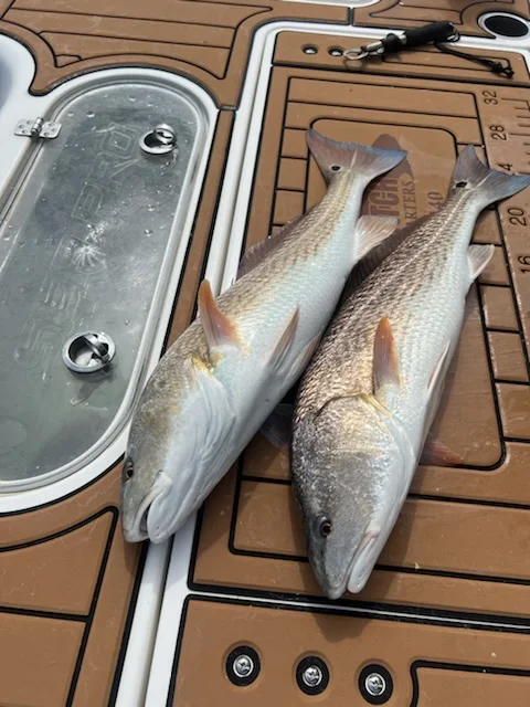 Flounder fishing in Little River, South Carolina