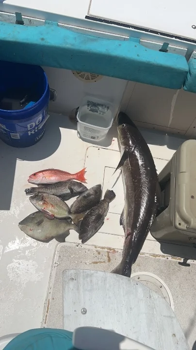Red Snapper Fishing in St. Marys, Georgia