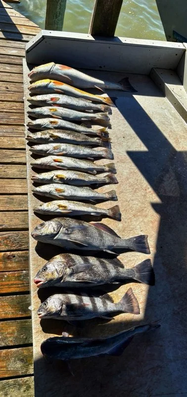 Fishing in Galveston, Texas