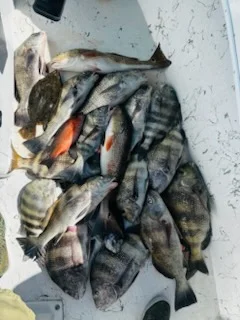 Fishing in Apalachicola, Florida