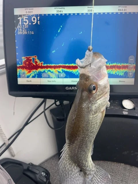Fishing in Willis, Texas