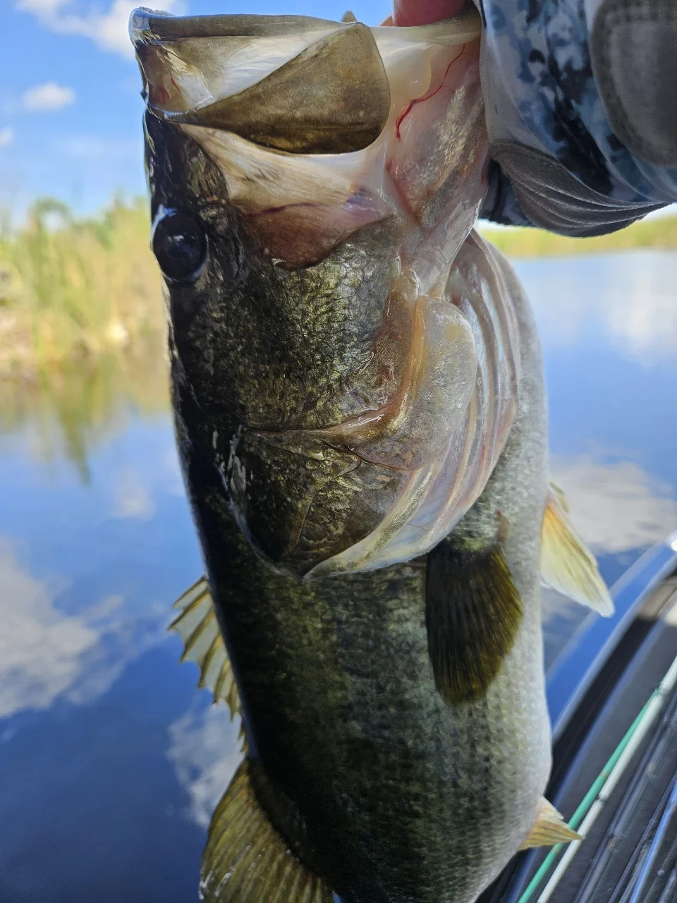 Fishing in Deerfield Beach, Florida