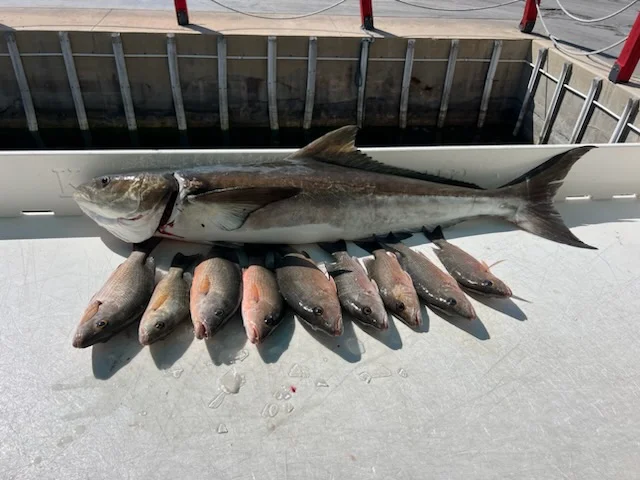 Fishing in Summerland Key, Florida