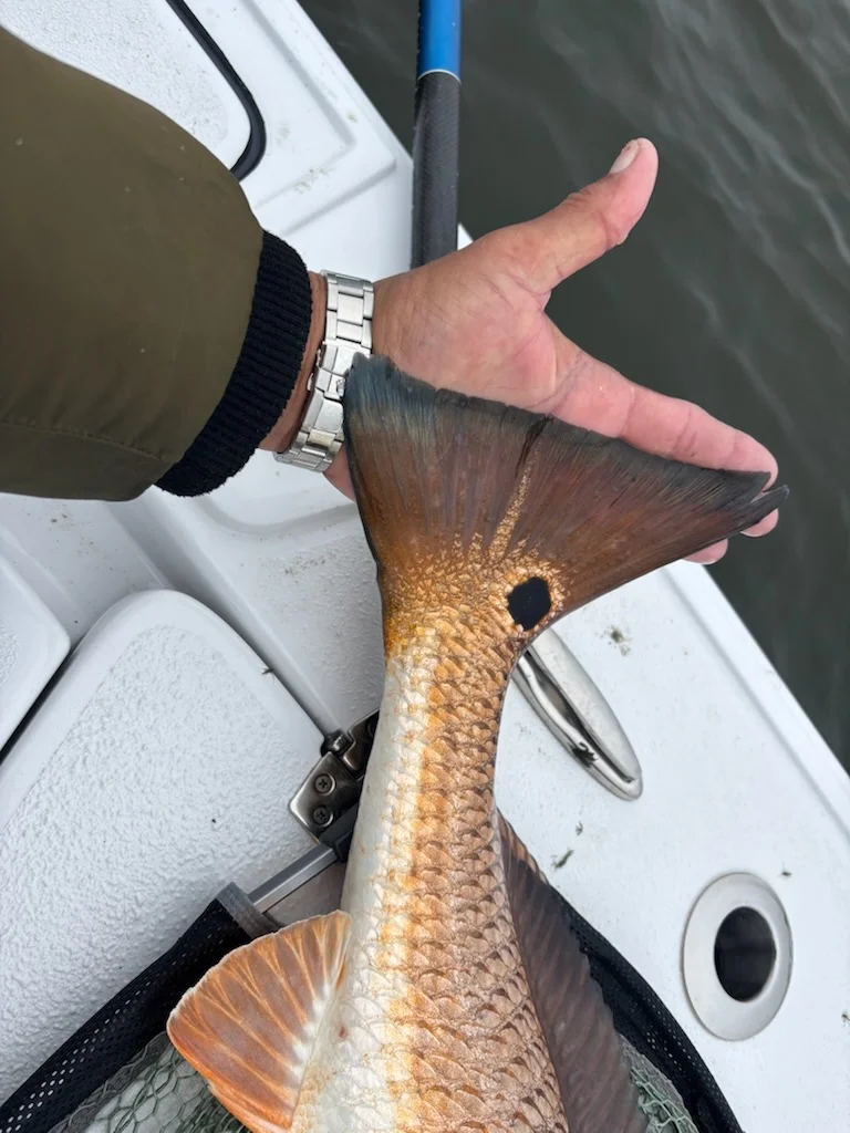 Fishing in New Orleans, Louisiana