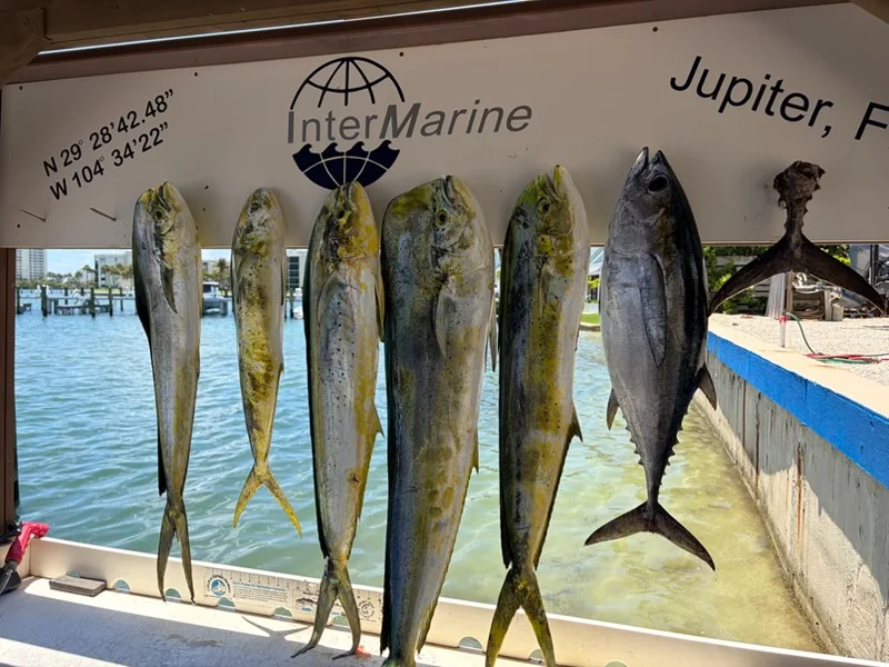 Fishing in Jupiter, Florida