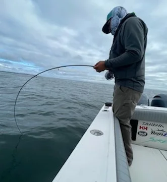 Little Tunny / False Albacore fishing in Chatham, Massachusetts