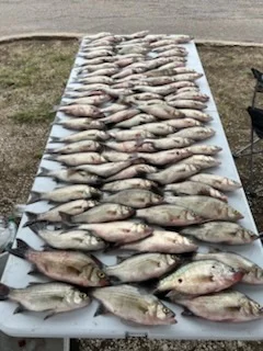 Fishing in Wylie, Texas
