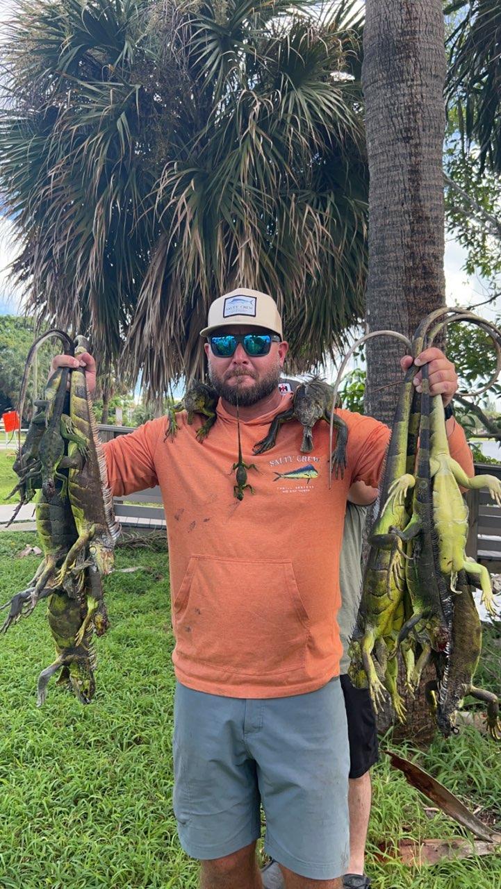 Iguana Hunting in Delray Beach, Florida