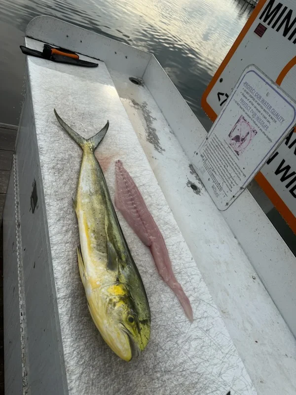 Fishing in Ruskin, Florida