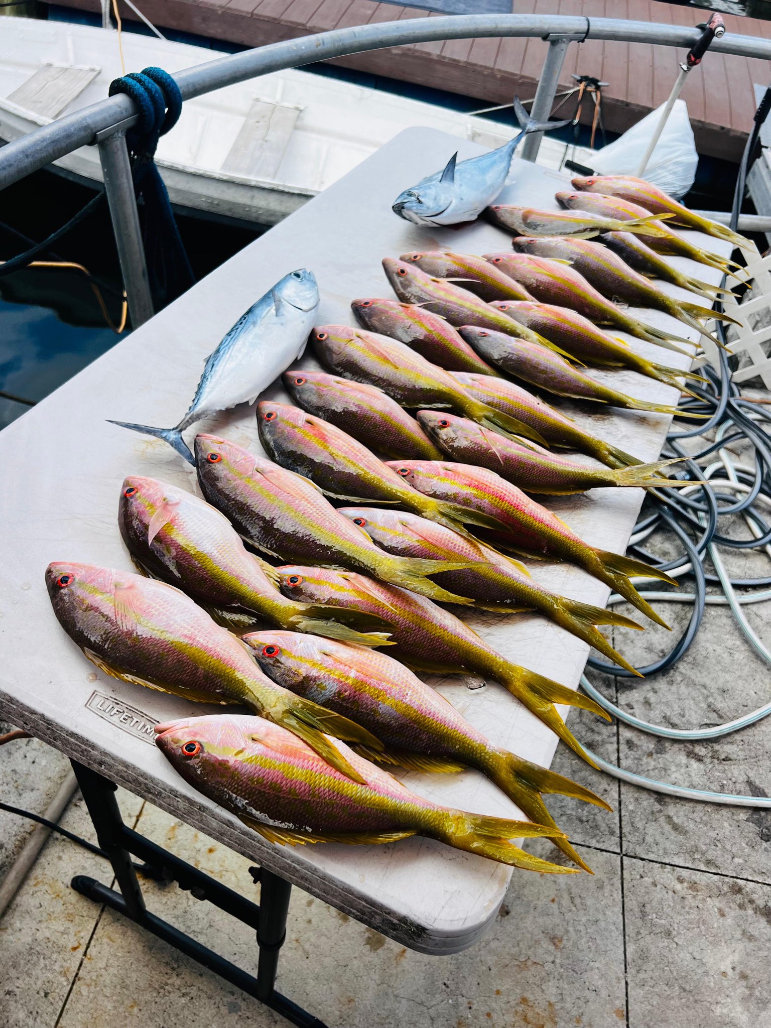 Fishing in Miami, Florida