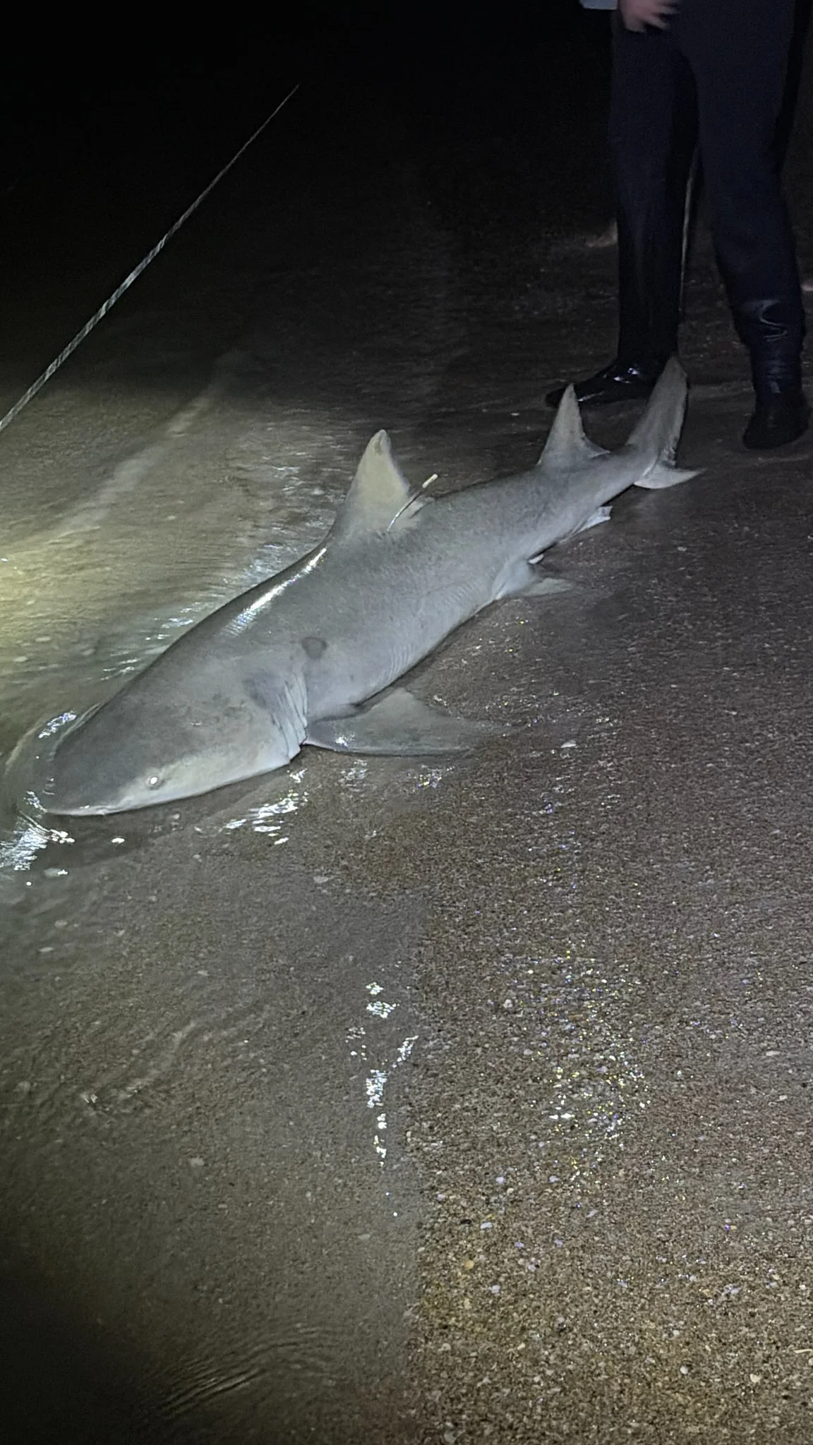 Fishing in New Smyrna Beach, Florida