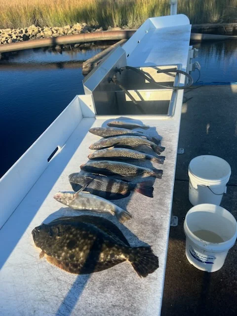 Black Drum, Flounder, Speckled Trout / Spotted Seatrout Fishing in Little River, South Carolina