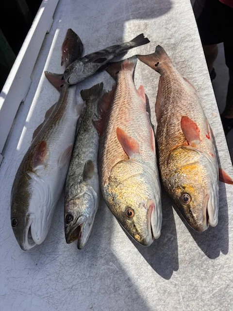 Fishing in St. Augustine, Florida
