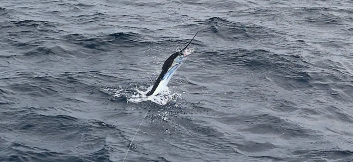 Fishing in Virginia Beach, Virginia